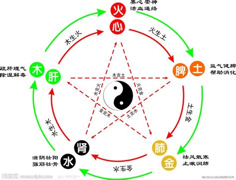 子五行|子的五行属性是什么